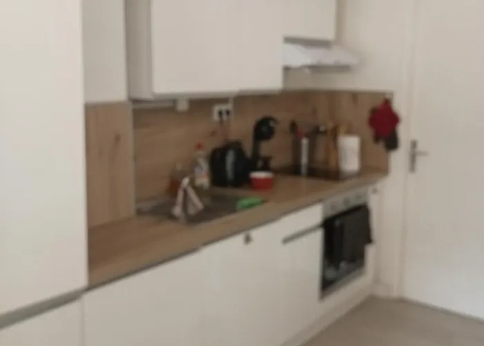 Calme Avec Jardin Centre *